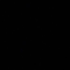 Meet your Posher, Najae